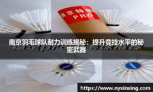 南京羽毛球队耐力训练揭秘：提升竞技水平的秘密武器